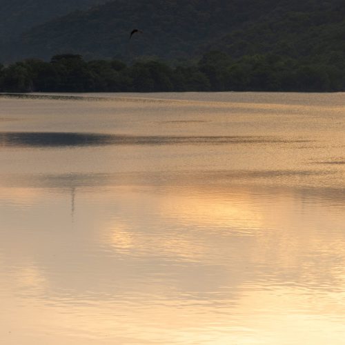 湘湖一景 A view of Xianghu Lake