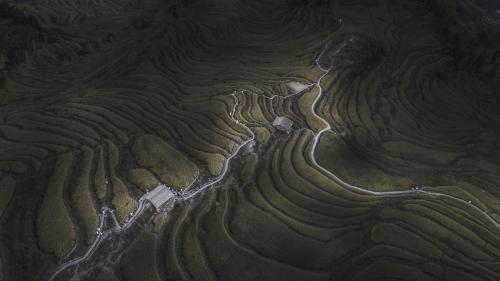 云和梯田 Yunhe Terraced Fields